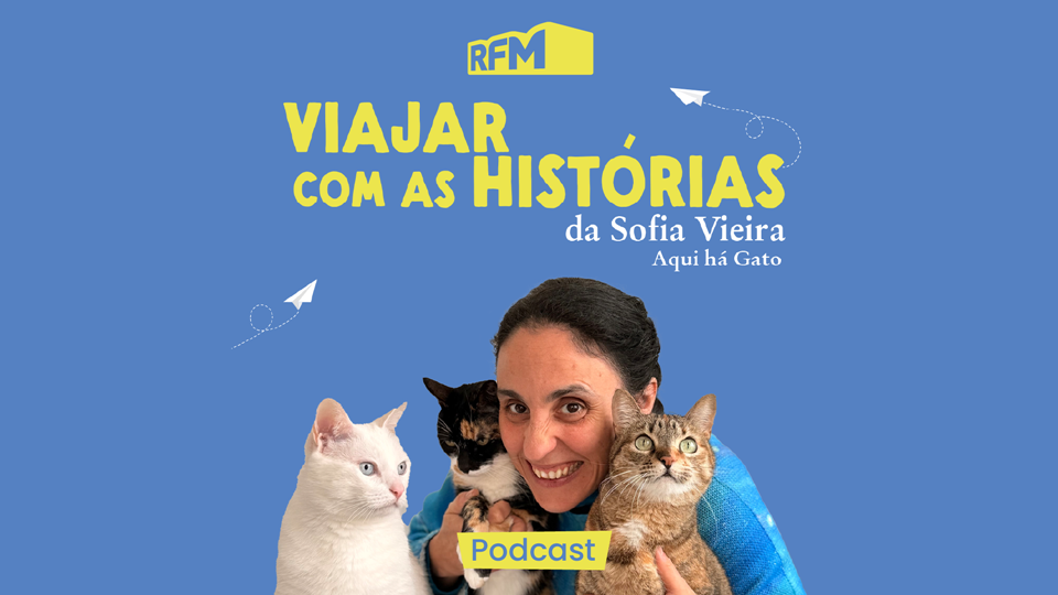 Aqui há gato - ep3 Não abras este livro
