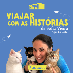 Aqui há gato