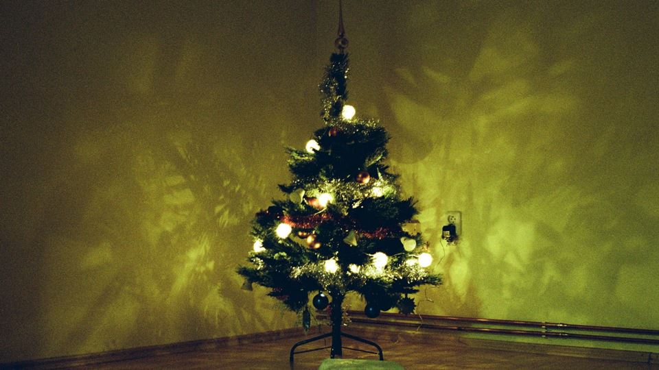 Onde nunca deves colocar a tua árvore de Natal