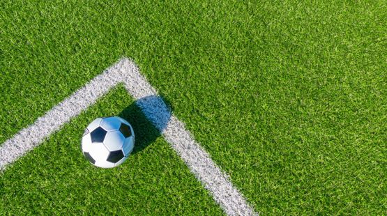 FIFA já vende pedaços do relvado da final do Mundial 2026: vê os preços e como podes comprar FIFA já vende pedaços do relvado da final do Mundial 2026: vê os preços e como podes comprar