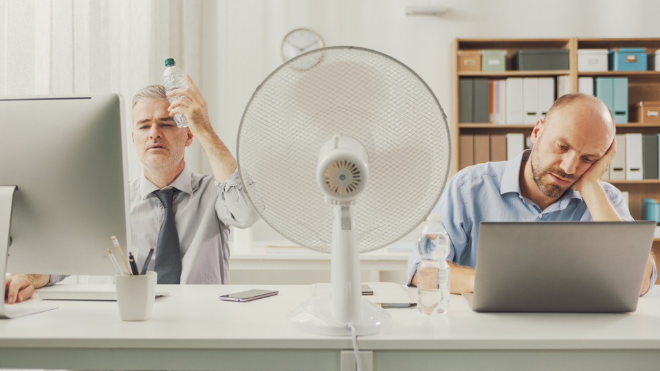 Hitze wird in Portugal anhalten: Dies sind die Regionen, in denen sie am stärksten sein wird