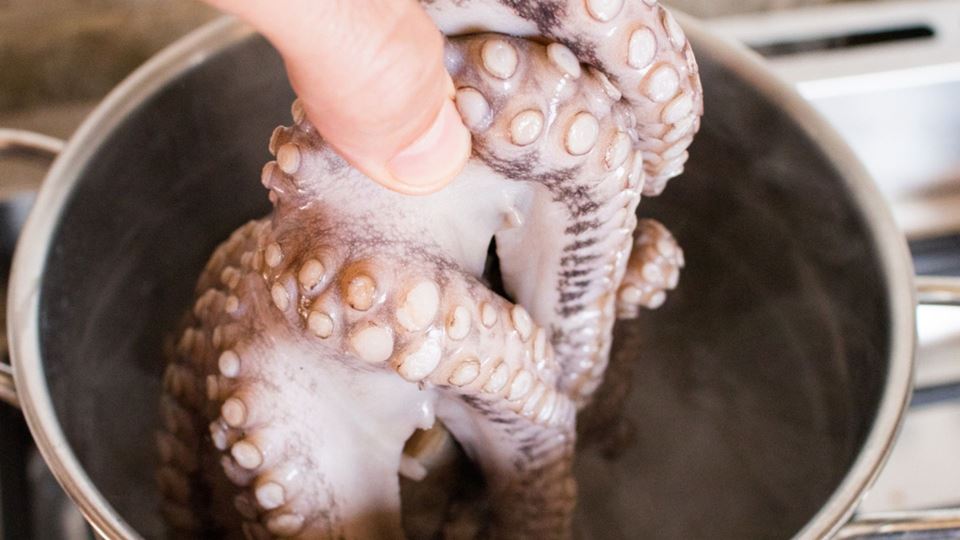 Neste Natal, coze o polvo perfeito com estes truques de especialista Neste Natal, coze o polvo perfeito com estes truques de especialista