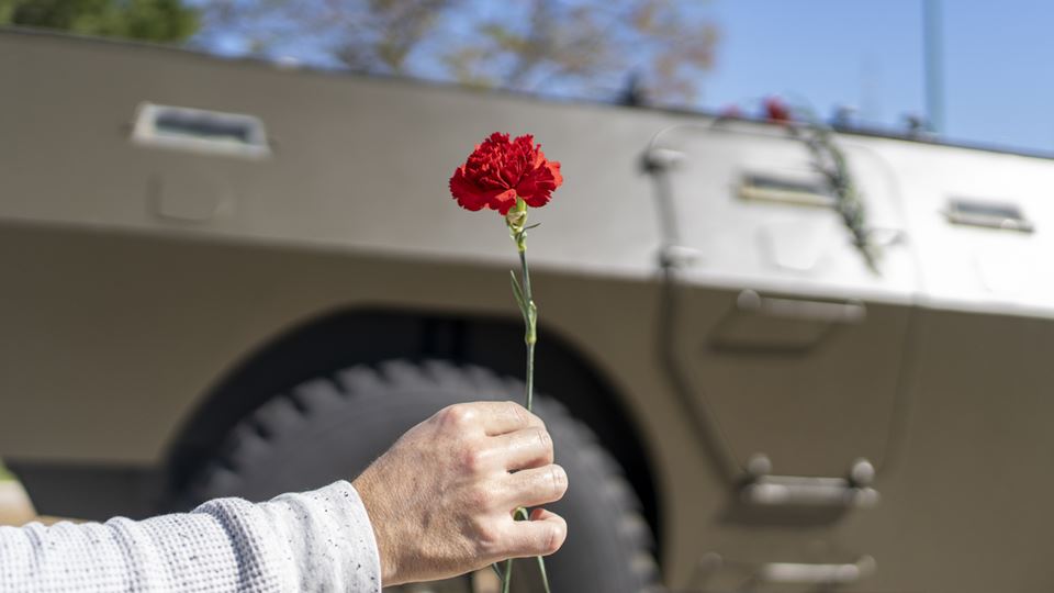 A história inesperada que está na origem dos cravos do 25 de Abril A história inesperada que está na origem dos cravos do 25 de Abril