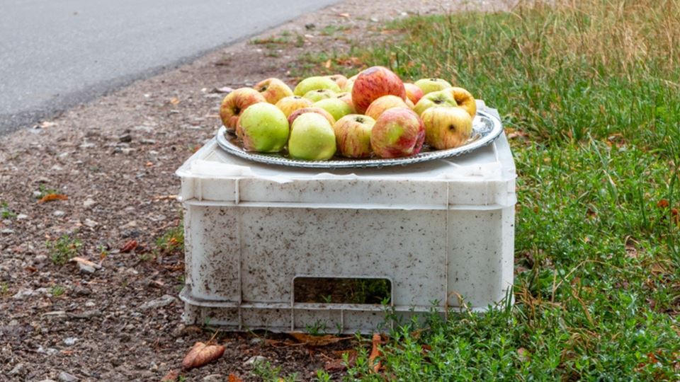 Em Barcelos, oferece-se fruta fresca na rua
