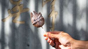 Millennium Falcon Chocolate Pop