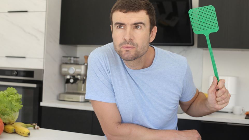 Se vestires esta cor, atrais moscas