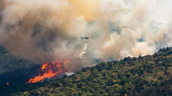Entraram em vigor novas proibições em Portugal devido ao risco de incêndio: vê o que muda até 6 de julho Entraram em vigor novas proibições em Portugal devido ao risco de incêndio: vê o que muda até 6 de julho