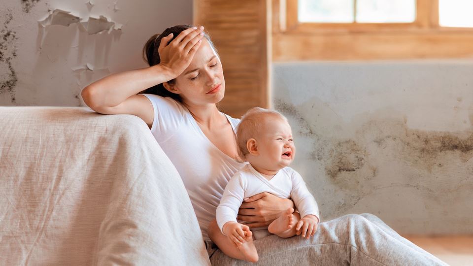 Tens humidade em casa? A solução pode ser mais fácil do que imaginas Tens humidade em casa? A solução pode ser mais fácil do que imaginas