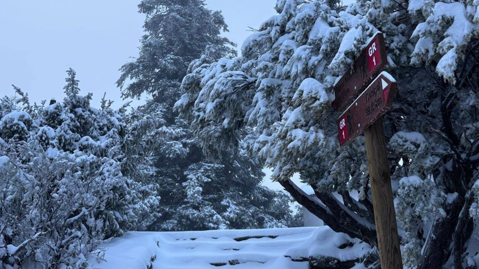 Neve surpreende a Madeira e os Açores, a poucos dias da primavera