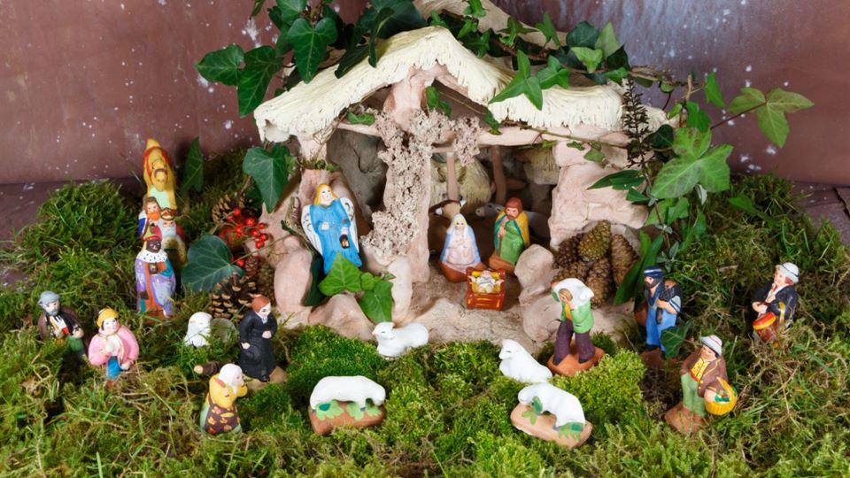 Musgo no Presépio? A tradição de Natal que pode custar caro à natureza