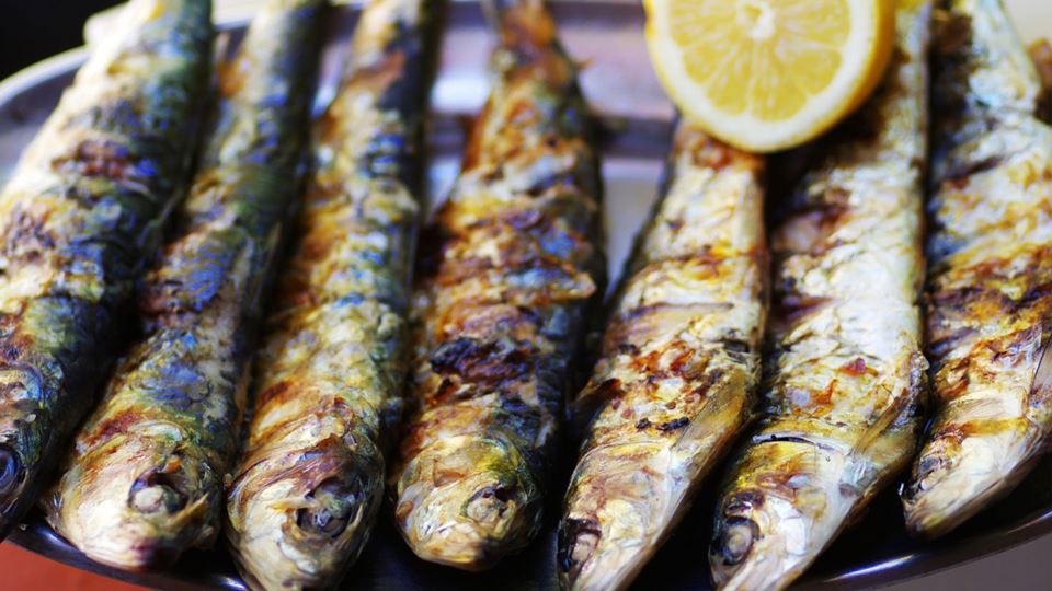 Queres proteger o teu cérebro com algo simples? Comer este peixe pode ser o truque mais saboroso