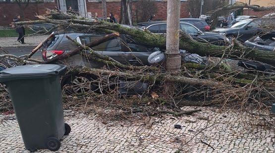 Sabe onde e como ajudar as famílias afetadas pela depressão Kristin Sabe onde e como ajudar as famílias afetadas pela depressão Kristin