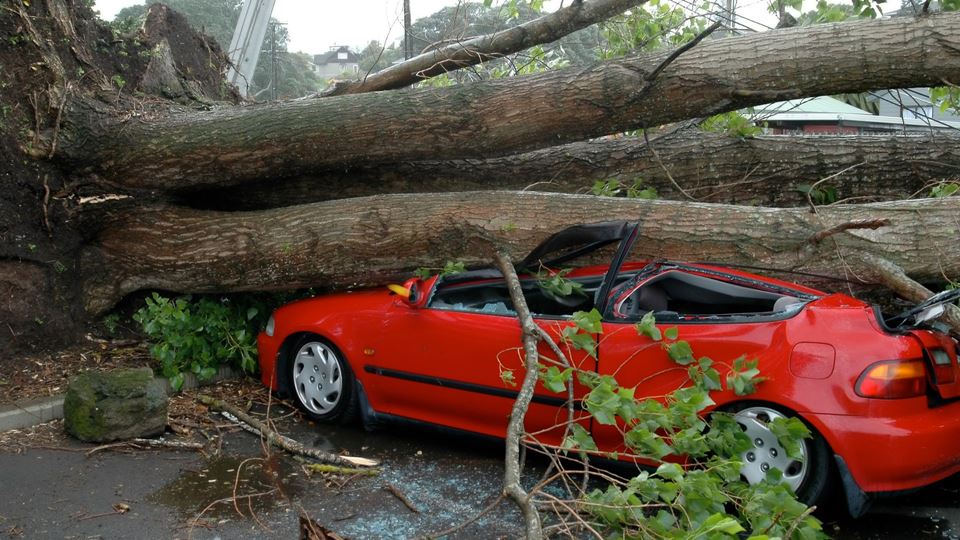 Depressão Kristin: quem não consegue ir trabalhar tem falta justificada?